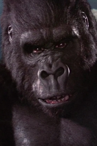 King Kong